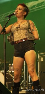 0021 Punk In Drublic Festival